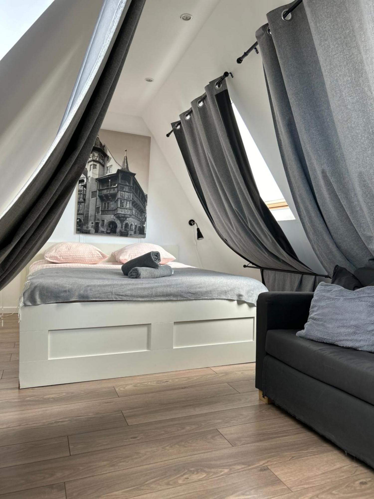 Colmar City Center - Appartement Belle-Vue 4 Etoiles Eksteriør billede