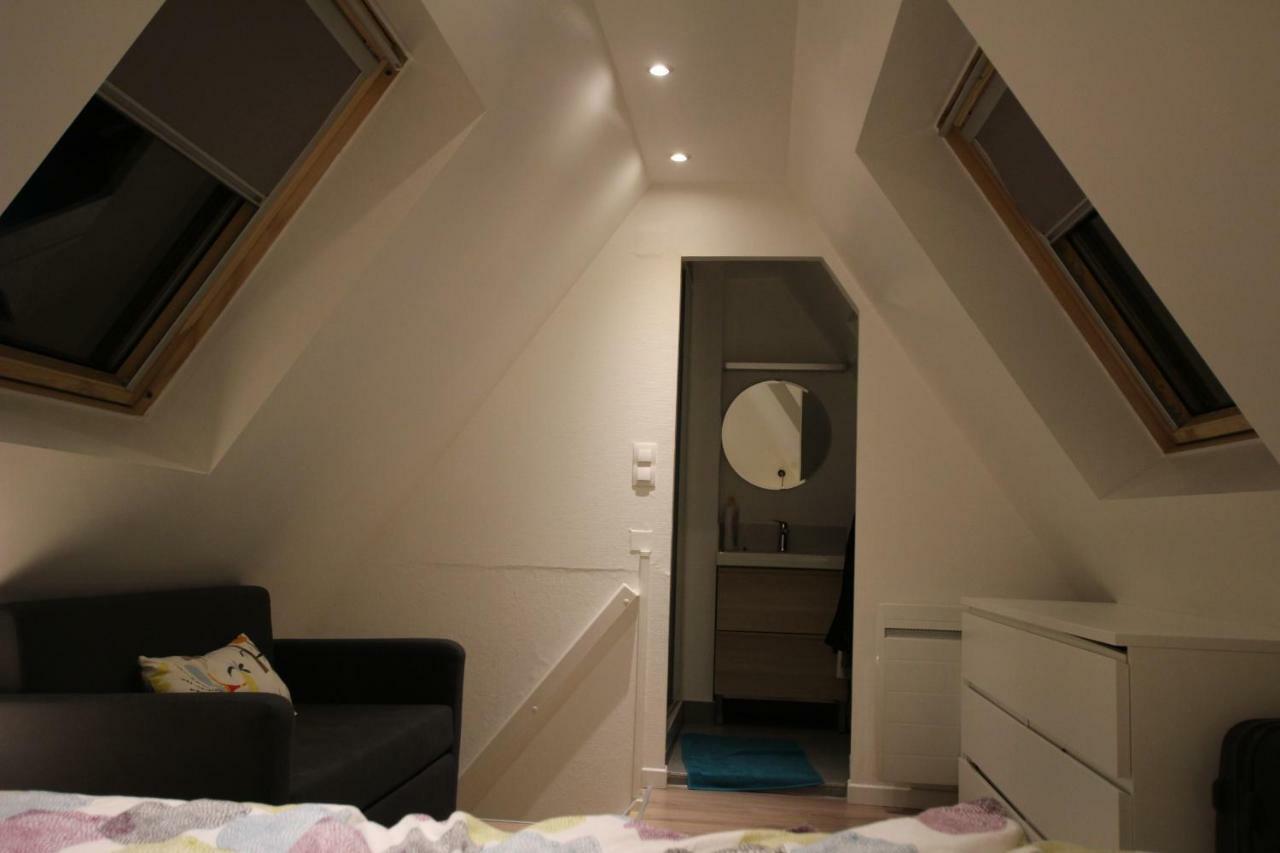 Colmar City Center - Appartement Belle-Vue 4 Etoiles Eksteriør billede